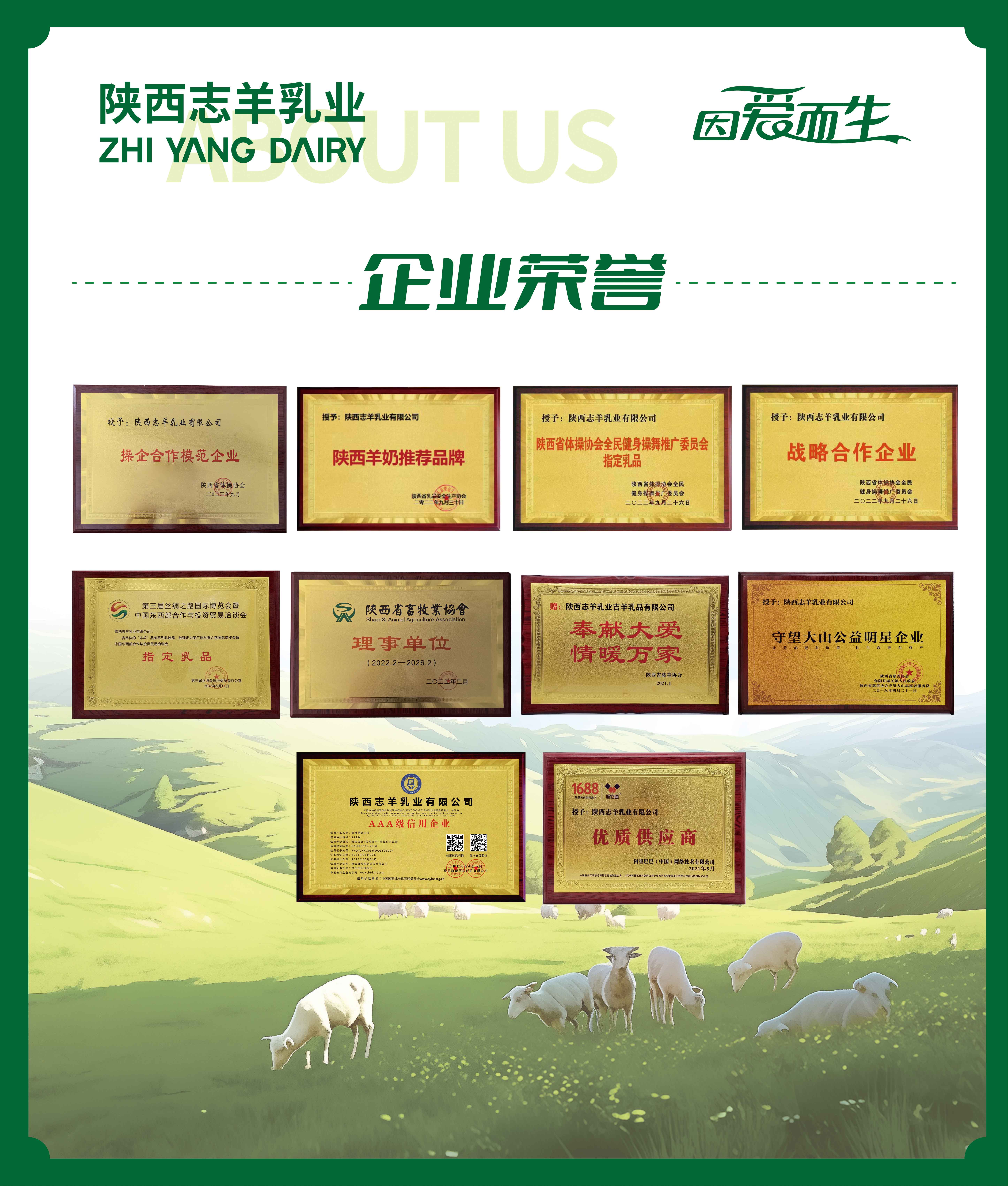 企業榮譽墻.jpg
